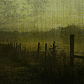 Early morning